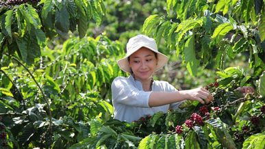 Nestlé lance le NESCAFÉ Plan 2030